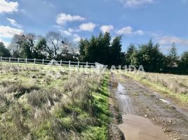  Land for sale in Maule, San Clemente, Talca, Maule