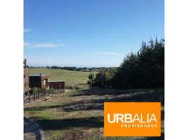  Terreno (Parcela) en venta en Cardenal Caro, Libertador General Bernardo O'Higgins, Pichilemu, Cardenal Caro