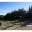  Terreno (Parcela) en venta en Cardenal Caro, Libertador General Bernardo O'Higgins, Pichilemu, Cardenal Caro