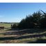  Terreno (Parcela) en venta en Cardenal Caro, Libertador General Bernardo O'Higgins, Pichilemu, Cardenal Caro