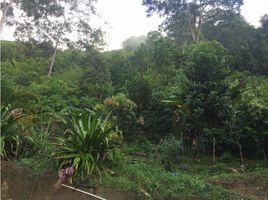 4 Schlafzimmer Haus zu verkaufen in Gachancipa, Cundinamarca, Gachancipa