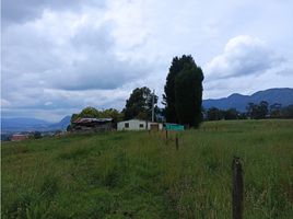 Studio Haus zu verkaufen in Cogua, Cundinamarca, Cogua