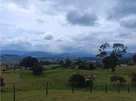 1 Schlafzimmer Haus zu verkaufen in Cogua, Cundinamarca, Cogua