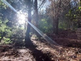  Terreno (Parcela) en venta en Concepción, Biobío, Florida, Concepción