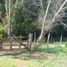  Terreno (Parcela) en venta en Concepción, Biobío, Florida, Concepción