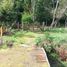  Terreno (Parcela) en venta en Concepción, Biobío, Florida, Concepción