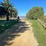  Land for sale in Las Cabras, Cachapoal, Las Cabras