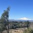  Land for sale in Chile, Villarrica, Cautin, Araucania, Chile