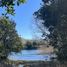  Land for sale in Chile, Villarrica, Cautin, Araucania, Chile