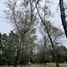  Terreno (Parcela) en venta en Chile, Villarrica, Cautín, Araucanía, Chile