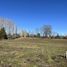  Terreno (Parcela) en venta en Loncoche, Cautín, Loncoche