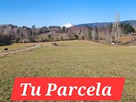  Terreno (Parcela) en venta en Loncoche, Cautín, Loncoche
