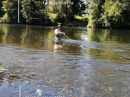  Terreno (Parcela) en venta en Llanquihue, Los Lagos, Puerto Montt, Llanquihue