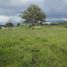  Land for sale in Villavicencio, Meta, Villavicencio