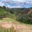  Land for sale in San Vicente, Antioquia, San Vicente