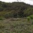  Land for sale in San Vicente, Antioquia, San Vicente