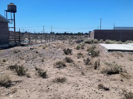  Land for sale in Confluencia, Neuquen, Confluencia