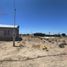  Land for sale in Confluencia, Neuquen, Confluencia