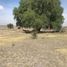  Land for sale in Tizayuca, Hidalgo, Tizayuca