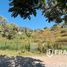  Land for sale in Jocotepec, Jalisco, Jocotepec