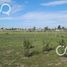  Land for sale in San Vicente, Buenos Aires, San Vicente