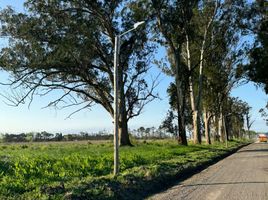  Land for sale in La Plata, Buenos Aires, La Plata