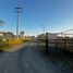  Land for sale in Allende, Nuevo Leon, Allende