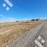  Land for sale in Neuquen, Confluencia, Neuquen