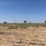  Land for sale in Penjamo, Guanajuato, Penjamo