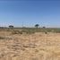  Land for sale in Penjamo, Guanajuato, Penjamo