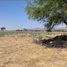  Land for sale in Penjamo, Guanajuato, Penjamo