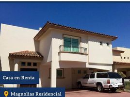 3 Habitación Apartamento en alquiler en Culiacan, Sinaloa, Culiacan