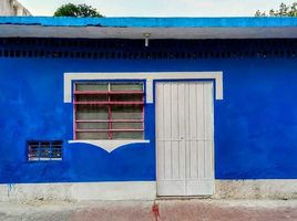 1 Bedroom Condo for rent in Merida, Yucatan, Merida, Yucatan