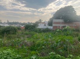  Grundstück zu verkaufen in Tlayacapan, Morelos, Tlayacapan