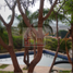 5 Habitación Villa en venta en Temixco, Morelos, Temixco