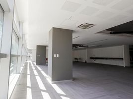 189 m2 Office for rent in Miguel Hidalgo, Mexico City, Miguel Hidalgo