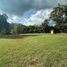  Land for sale in Ciudad Del Maiz, San Luis Potosi, Ciudad Del Maiz