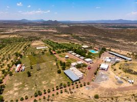 Studio Hotel for sale in Coahuila, General Cepeda, Coahuila