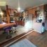 4 Habitación Casa en venta en Parque Isidora Cousiño De Lota, Viña del Mar, Valparaiso