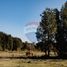  Terreno (Parcela) en venta en Chile, Calbuco, Llanquihue, Los Lagos, Chile