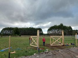  Land for sale in Chile, Frutillar, Llanquihue, Los Lagos, Chile