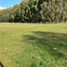  Land for sale in Chile, Frutillar, Llanquihue, Los Lagos, Chile