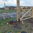  Land for sale in Chile, Frutillar, Llanquihue, Los Lagos, Chile