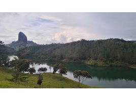  Land for sale in Guatape, Antioquia, Guatape