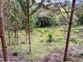  Land for sale in Barbosa, Antioquia, Barbosa