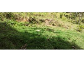  Land for sale in Sabaneta, Antioquia, Sabaneta