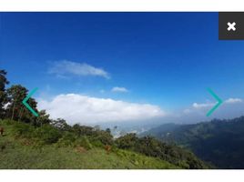  Land for sale in Sabaneta, Antioquia, Sabaneta