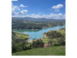  Land for sale in Guatape, Antioquia, Guatape