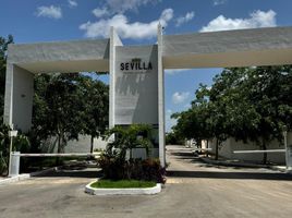  Grundstück zu verkaufen in Conkal, Yucatan, Conkal