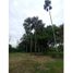  Land for sale in Palmira, Valle Del Cauca, Palmira